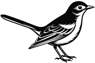 Monochrome Magpie Bird 