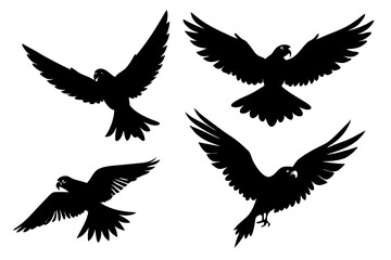 set of Parrot silhouette vector illustration