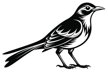 Detailed Monochrome Mockingbird 