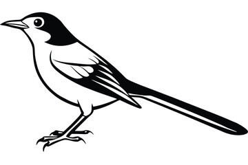 Fototapeta premium Stylized Magpie with Clear Lines 