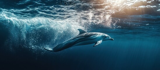 Naklejka premium Dolphin gracefully swims beneath ocean waves, sunlit surface above