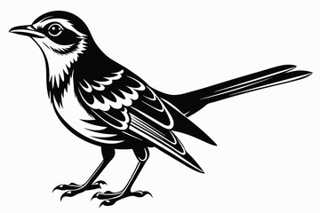 Isolated Magpie Bird Design, Detailed Black and White with Style