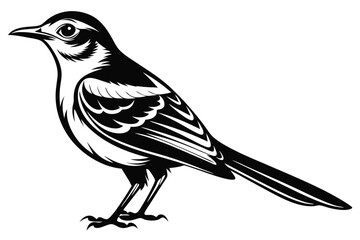 Mockingbird in full length 