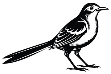 Obraz premium Detailed Mockingbird Silhouette 
