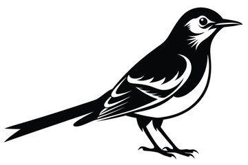 Stylized Isolated Black and White Magpie Bird 