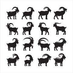 goat set of funny animals