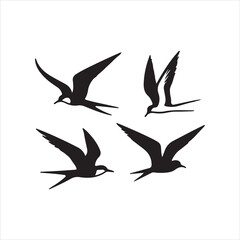 vector silhouettes of birds