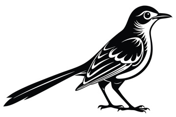 Mockingbird Silhouette on White Background, Bird Art Design