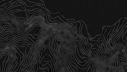 Abstract topographic map design.  Complex, layered lines create a sense of elevation and terrain