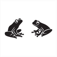 frog on a white background