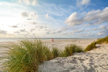  View to beautiful landscape with beach and sand dunes near Henne Strand, North sea coast landscape Jutland Denmark © ah_fotobox