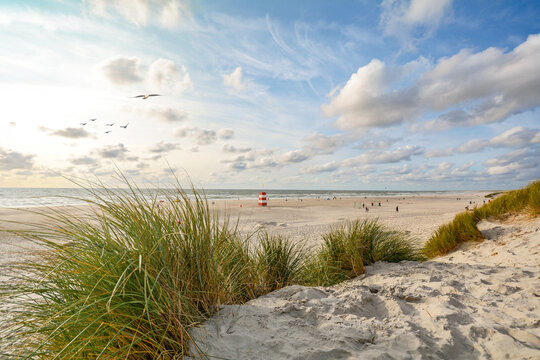 View to beautiful landscape with beach and sand dunes near Henne Strand, North sea coast landscape Jutland Denmark
