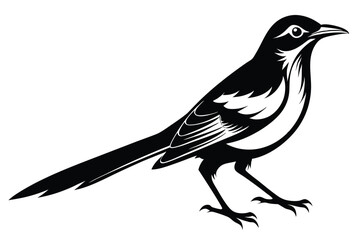 Minimalist Magpie Silhouette, Monochrome Bird Design 