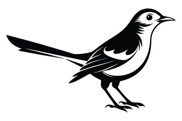 Elegant Black and White Magpie Silhouette on Transparent Background