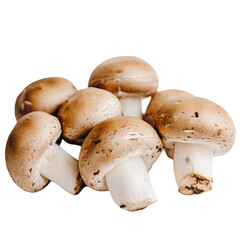 Brown Mushrooms isolated on transparent background Generative Ai

