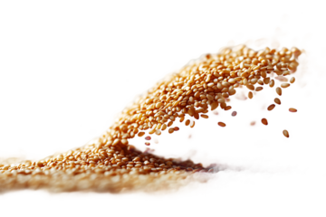 Flying sesame seeds isolated on transparent background, natural food ingredients cut out for recipe blogs and cooking demonstration visuals