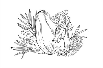 Vector tropical papaya, pitahaya among leaves hand drawn isolated illustration painted by black inks. Sweet whole fruits, monstera, palm leaf graphic sketch illustration. Summer exotic plants