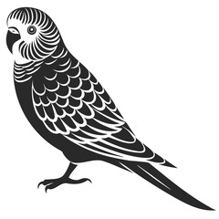 Budgerigar silhouette vector illustration