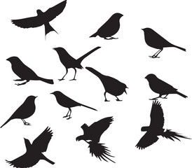 Flying Different Type of Birds silhouette Vector