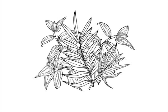 Vector tropical areca palm and tradescantia leaves bouquet line art black ink. Monochrome foliage hand drawn isolated illustration in linear style. Floral composition greeting card, invitation