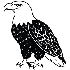 Eagle vector illustration on a white background