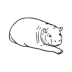 cute hippo illustration