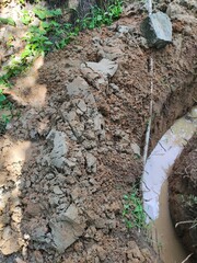 stone path in the forest