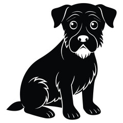 black and white puppy