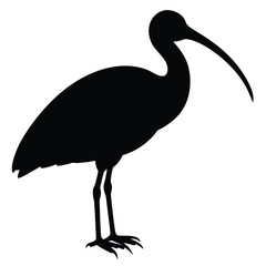 Obraz premium heron on a white background