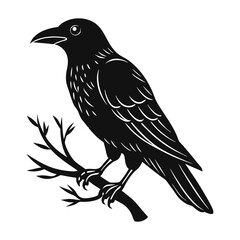 crow on a branch