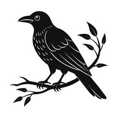 crow on a branch