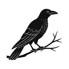 crow on a branch