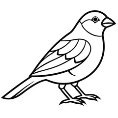 vector illustration of a bird