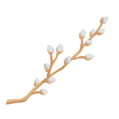 willow branche with soft fluffy catkins