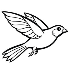 dove on white background