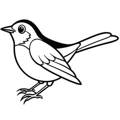 Fototapeta premium sketch of a bird