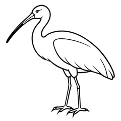 vector illustration of a stork