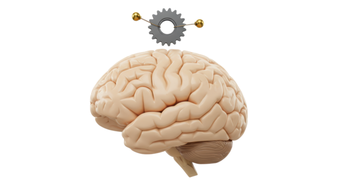 Isolated Brain with Gear Above Symbolic