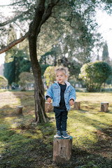 Fototapeta premium Little smiling girl stands on a stump in the garden by the tree