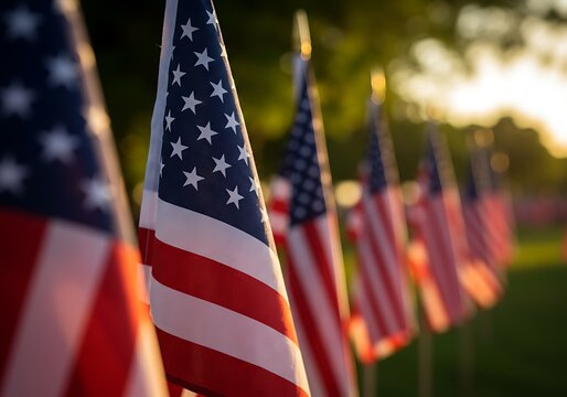 Rows of American flags stand tall at sunset, a patriotic display of national pride and remembrance, bathed in warm golden light.