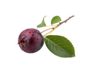 Surinam Cherry Fruit PNG Transparent Image for Digital Design and Artwork