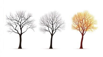 set of three artistic tree illustrations representing different seasons in a row on white background