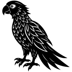 eagle vector illustration