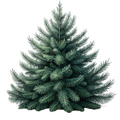 christmas tree on white background