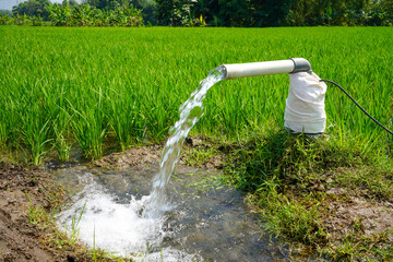 Irrigation of rice fields using pump wells with the technique of pumping water from the ground to flow into the rice fields. The pumping station where water is pumped from a irrigation canal system.	