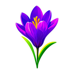 Naklejka premium Purple crocus flower with vibrant petals, yellow stamens, and green leaves. A detailed close-up of blooming crocus, symbolizing nature's beauty isolate on white background Download.