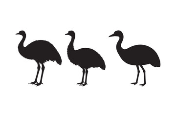 Emu Silhouette Vector Australian Bird Clipart 