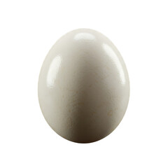 boiled egg isolated on white background 