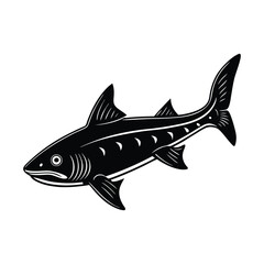 dogfish animal vector silhouette on white background