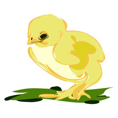 Yellow chicken, little chick. Sweet and adorable baby chick. A colorful and funny bird.